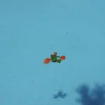 Likya Yolu イン Kapaklı